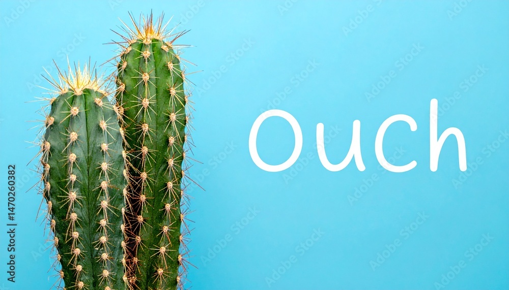 Naklejka premium Cactus et ses épines