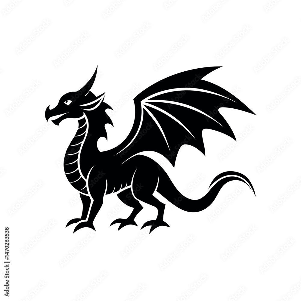 Fototapeta premium black and white dragon