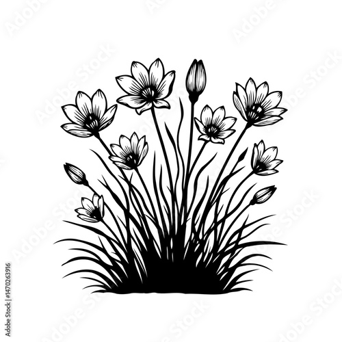 Elegant floral illustration featuring delicate blossoms and slender stems black and white
