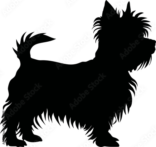 Silhouette of a small furry dog with a bushy tail and pointed ears. Vector illustration