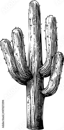 Black and white illustration of a detailed saguaro cactus with texture. Vector illustration