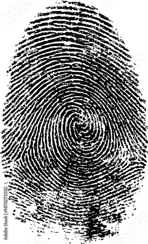 Black and white detailed fingerprint, biometric security concept. Vector illustration