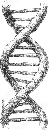 Illustrated black and white dna double helix sketch resembling organic texture. Vector illustration