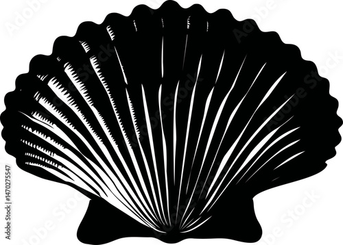 Silhouette of a seashell with detailed ridges and black and white contrast. Vector illustration