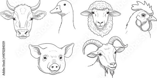 Farm animals like pork, hen, cow, sheep, goat and goose hand drawn vector outline icons set