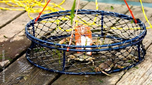 Crab Trap with Catch on Wooden Dock