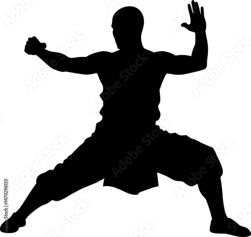 Powerful Silhouette of a Martial Artist in a Fighting Stance