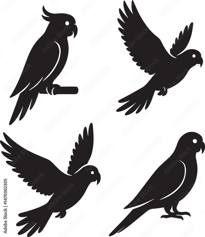 Obraz premium Black Silhouette Cockatoo Parrot Birds Flying Perched Vector Illustration