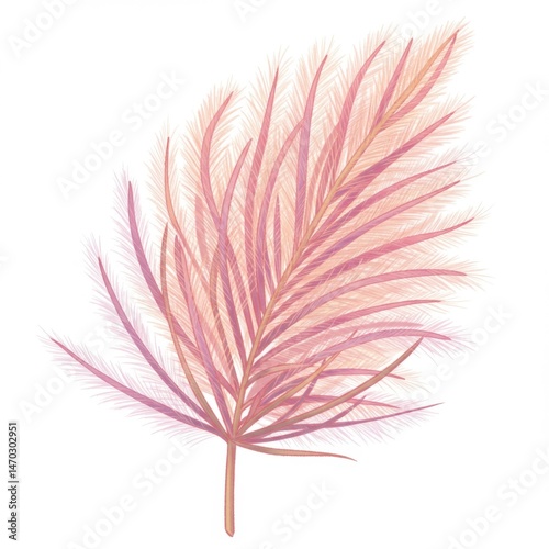 Pink Pastel Fluffy Feather Plant Illustration