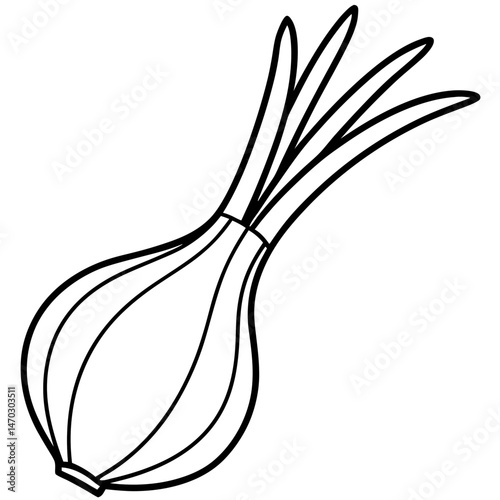 Scallion outline vector