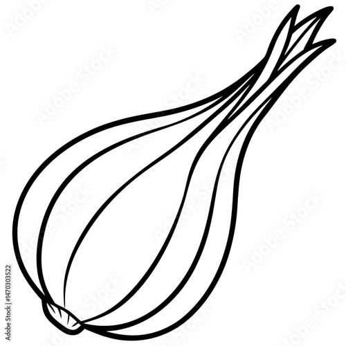 Scallion outline vector