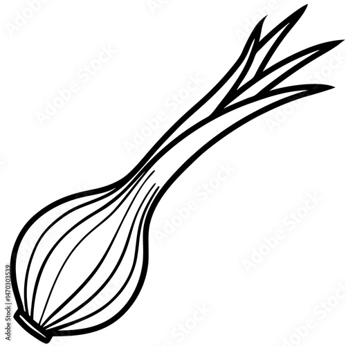 Scallion outline vector