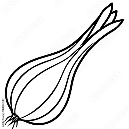 Scallion outline vector