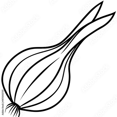 Scallion outline vector