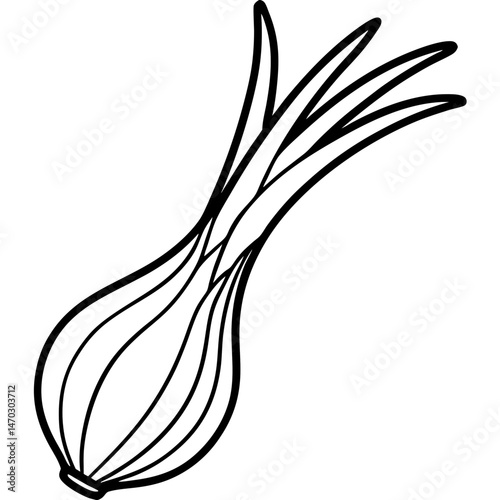 Scallion outline vector