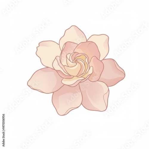 Pale Pink Gardenia Blossom Illustration