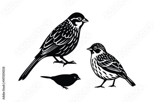 Grasshopper Sparrow Bird Silhouette Vector Design