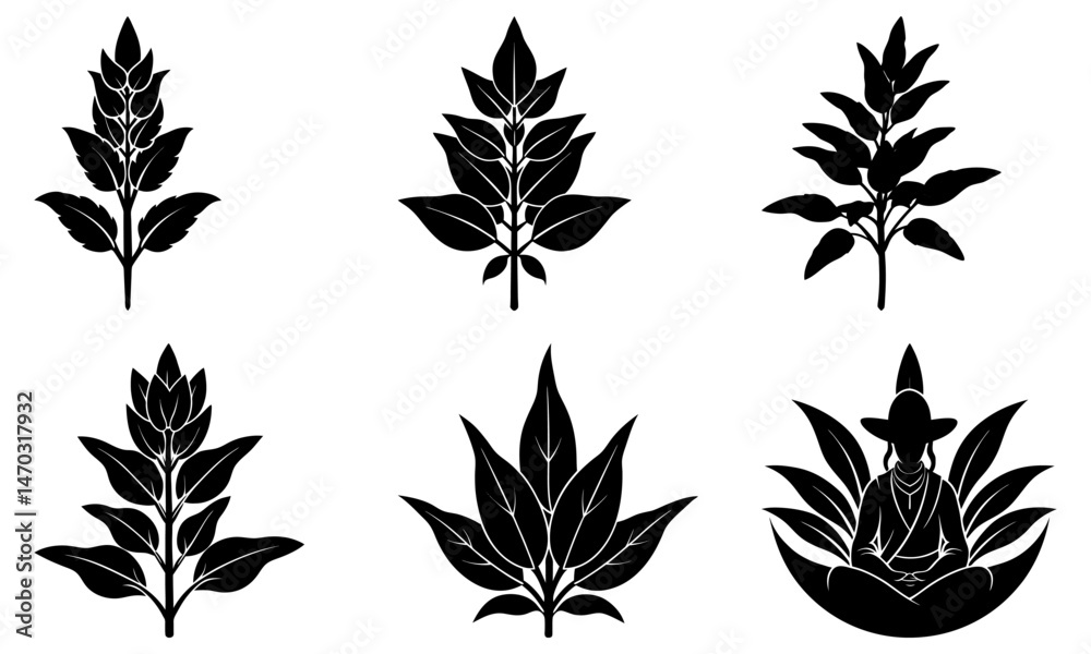 Fototapeta premium Sage silhouette vector