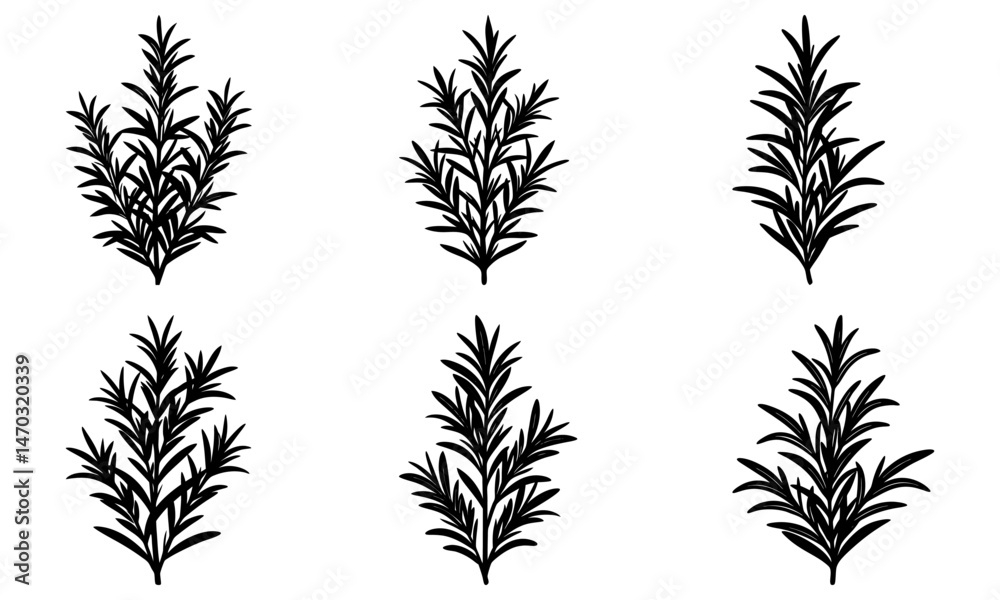 Rosemary silhouette vector Rosemary silhouette vector
