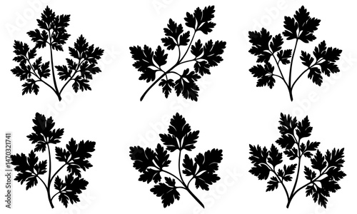 Parsley silhouette vector