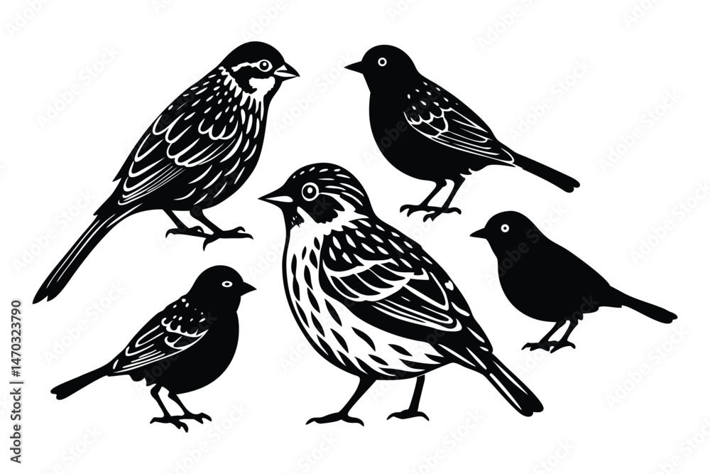 Fototapeta premium Grasshopper Sparrow Bird Silhouette Vector Design