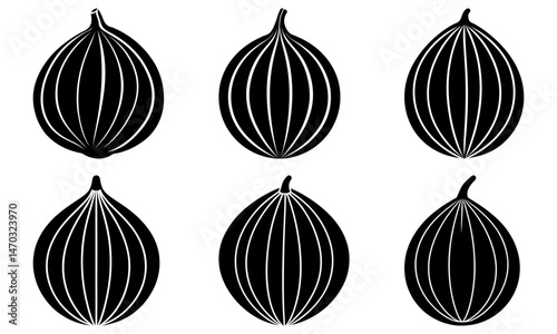 Nutmeg silhouette vector