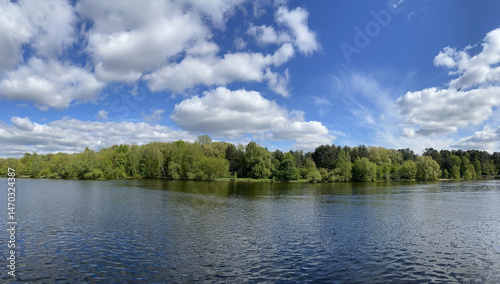 Fototapeta Naklejka Na Ścianę i Meble -  Beautiful panoramic landscape with green deciduous forest after river under blue sky with white clouds in bright sunny day
