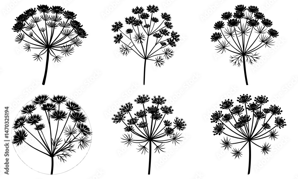 Obraz premium Dill silhouette vector