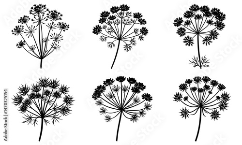 Dill silhouette vector