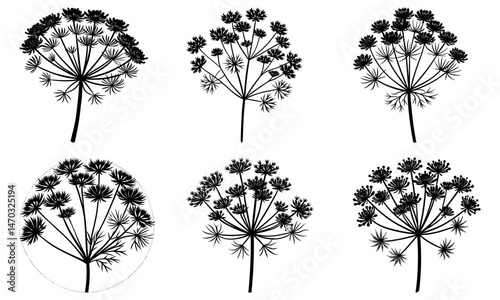 Dill silhouette vector