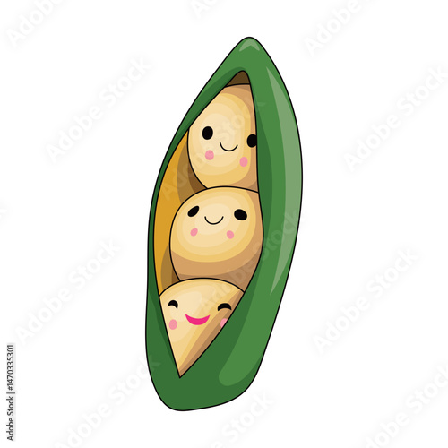 Bean brothers lined up in a shell