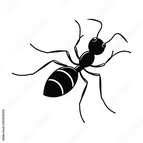 ant isolated on white background