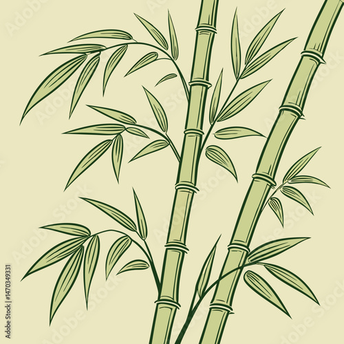 bamboo leaves on white