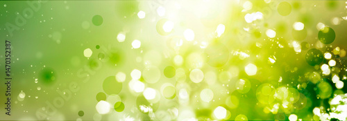 lichter bokeh sonne partikel natur abstrakt kreise grün verlauf hintergrund landschaft frühling sommer modulation unscharf banner
