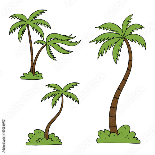 Collection of Hand Drawn Palm Trees Tropical Summer Vacation Illustration