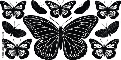 Collection of Elegant Black and White Butterfly Illustrations