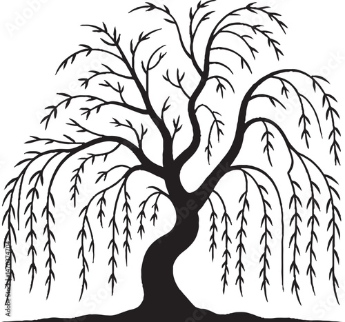 Weeping Willow Silhouette with Graceful Drooping Branches – Vector Art