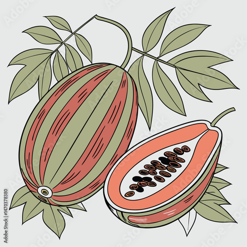 Fresh, ripe melon and watermelon with leaves, juicy and sweet summer fruit
