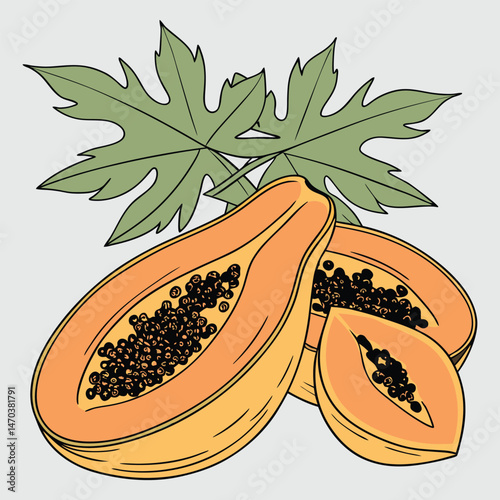Vector illustration of fresh tropical papaya fruit, ripe orange half cut with juicy seeds isolated on white