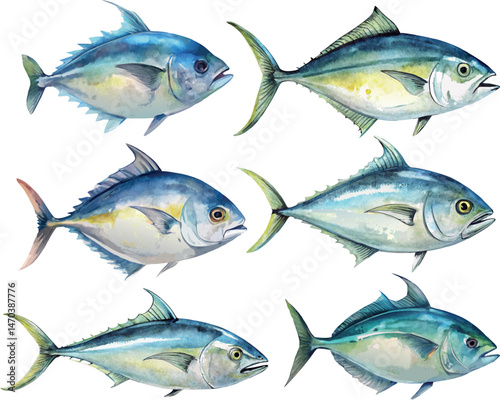6 Tuna Fish Watercolor Vector Illustration Set