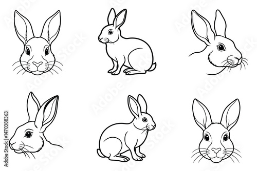 Rabbit face liner art set on white background