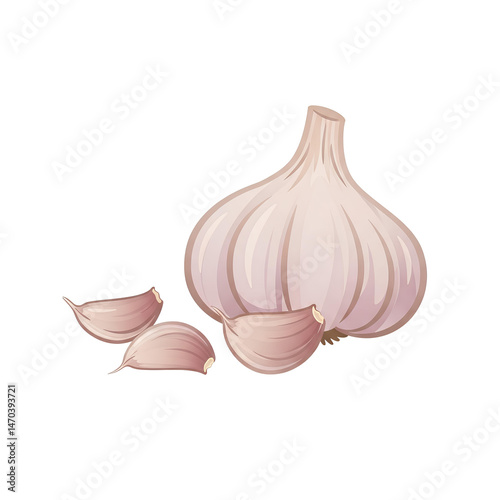 A vibrant illustration of a whole bulb of garlic and several cloves separated against a transparent background perfect for culinary websites food blogs recipe books and cooking applications