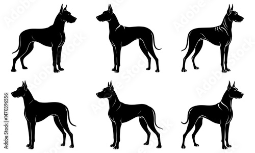 Great Dane Silhouette  vector