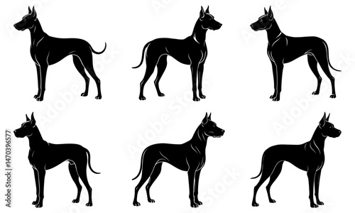 Great Dane Silhouette  vector