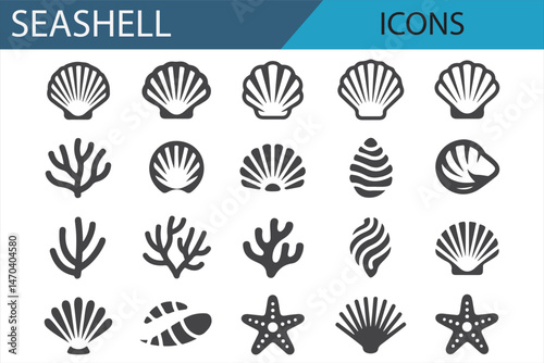 Iconic Seashell Illustrations for Use in Ocean, Beach, and Nature Projects