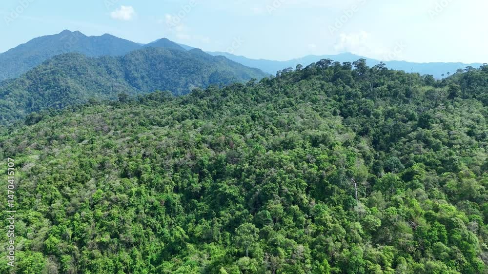 Aerial drone shot over primary Jungle tropical rain forest in Nan, Thailand. Aerial view, moving over a rainforest tree canopy in a slow pace beautiful green nature background of a tropical forest. Aerial drone shot over primary Jungle tropical rain forest in Nan, Thailand. Aerial view, moving over a rainforest tree canopy in a slow pace beautiful green nature background of a tropical forest.