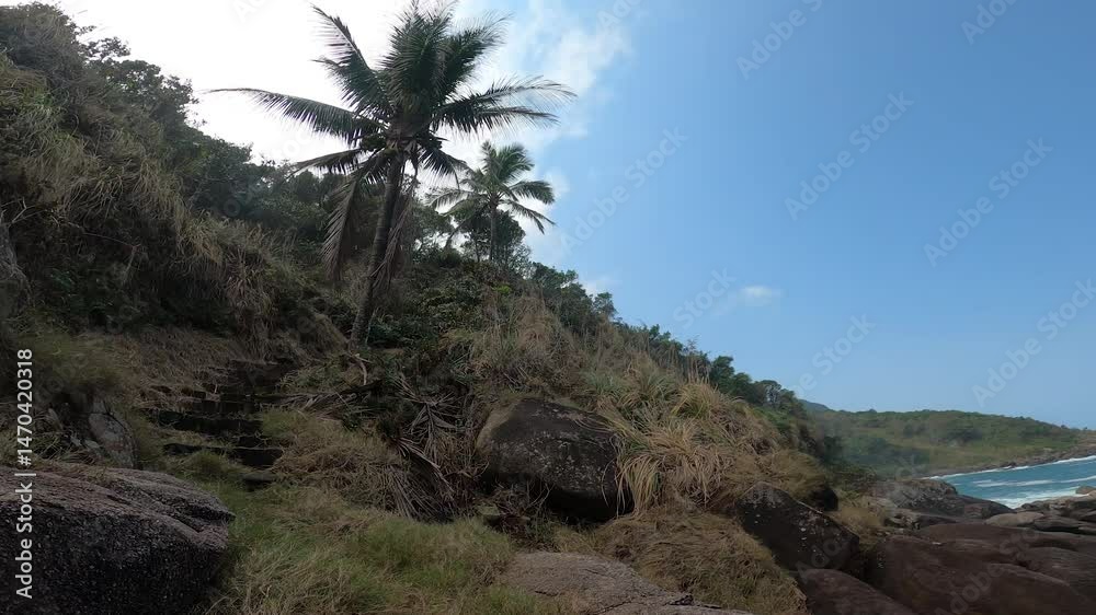playas y palmeras