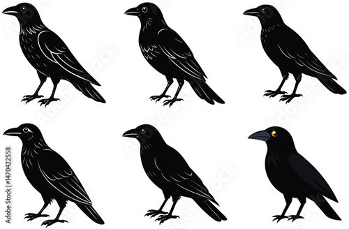 Set of wild birds, a black vector collection featuring flying silhouettes with wings, are animal icons in nature illustrations