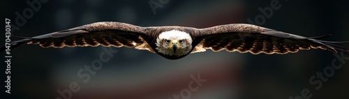 Majestic bird of prey extending wings during sustained flight