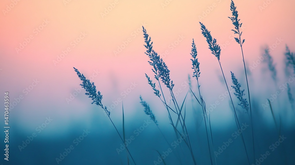 Obraz premium Sunset Meadow Grass Silhouette.